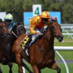 Greentube Expands German Reach with bet365 Slots Partnership
