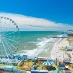 VGCCC Teams Up with Sports Stars to Tackle Gambling Harm